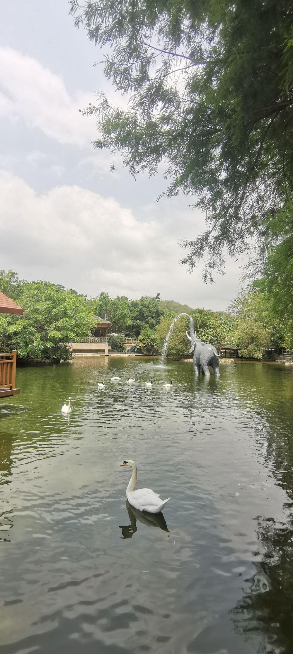 深圳野生动物园旅游景点真实照片风景图片