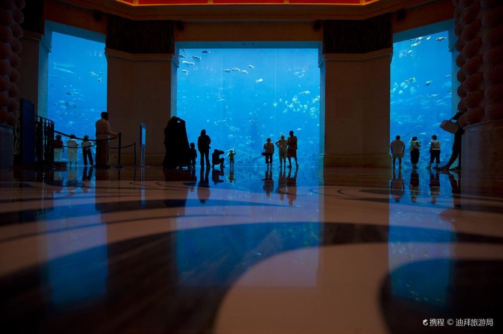 迪拜失落的空间水族馆风景高清壁纸美图