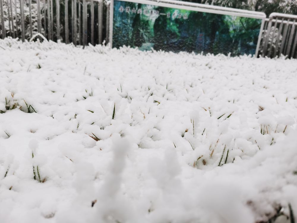 冬季白雪皑皑的重庆金佛山风景图片 春天的金佛山旅游景点真实照片