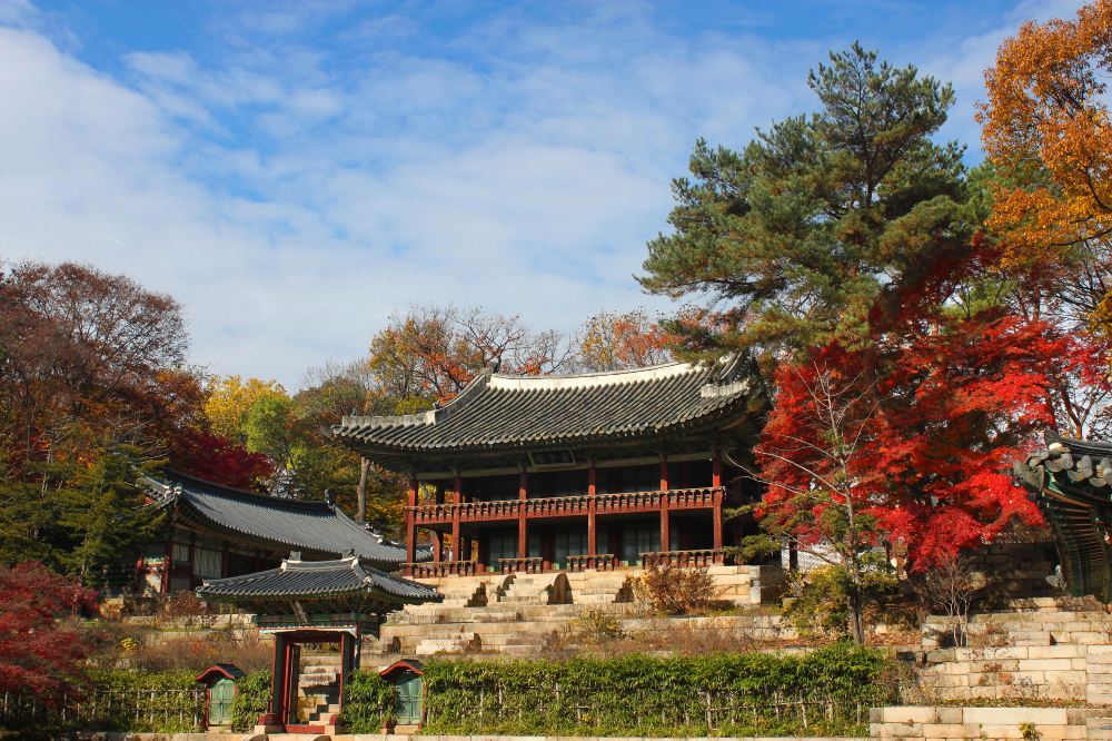 韩国首尔值得一去的旅游景点--昌德宫高清风景图片大全分享