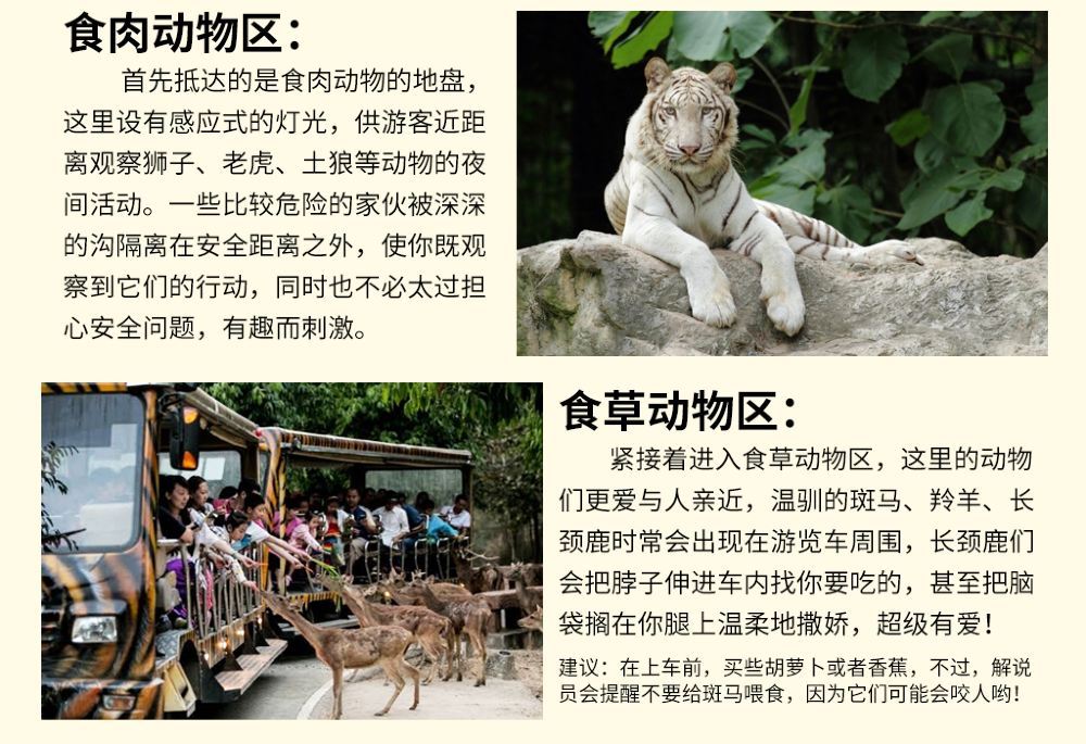 清迈有名的夜间动物园风景景点高清壁纸图片