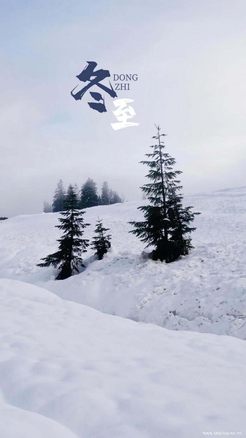 唯美冬至雪地风景高清壁纸图片