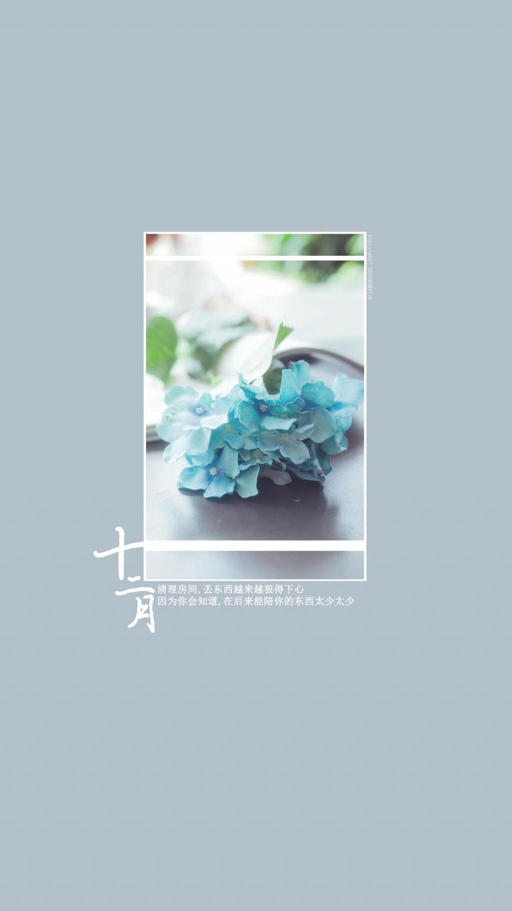 十二月断舍离简约蓝色绣球花图片
