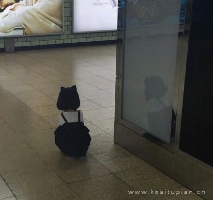 超可爱的权律二生气搞笑呆萌朋友圈背景头像图片