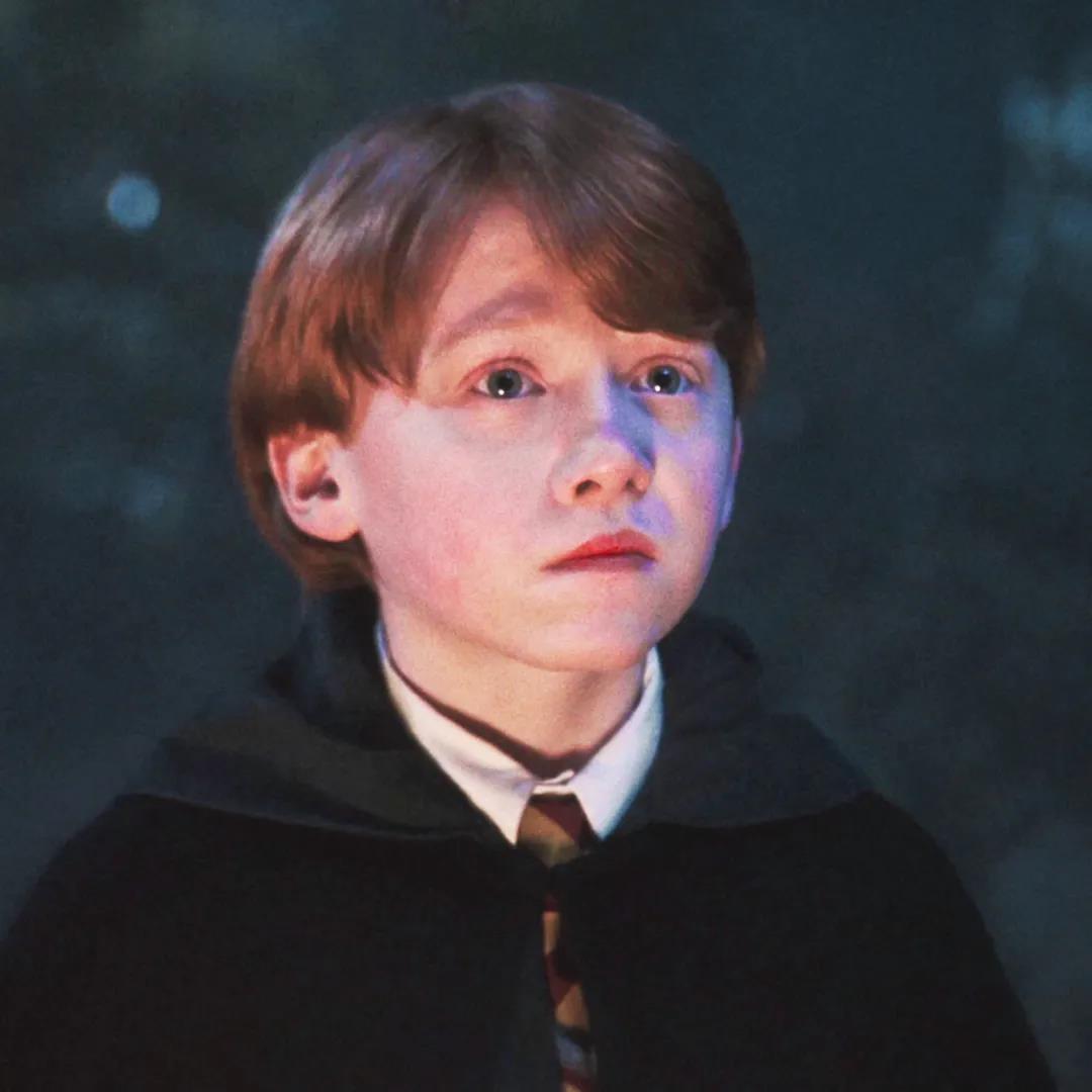 哈利波特少年时期经典头像图片
