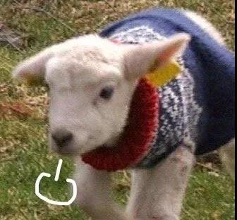 生活不易，唉声叹气可爱动物头像图片