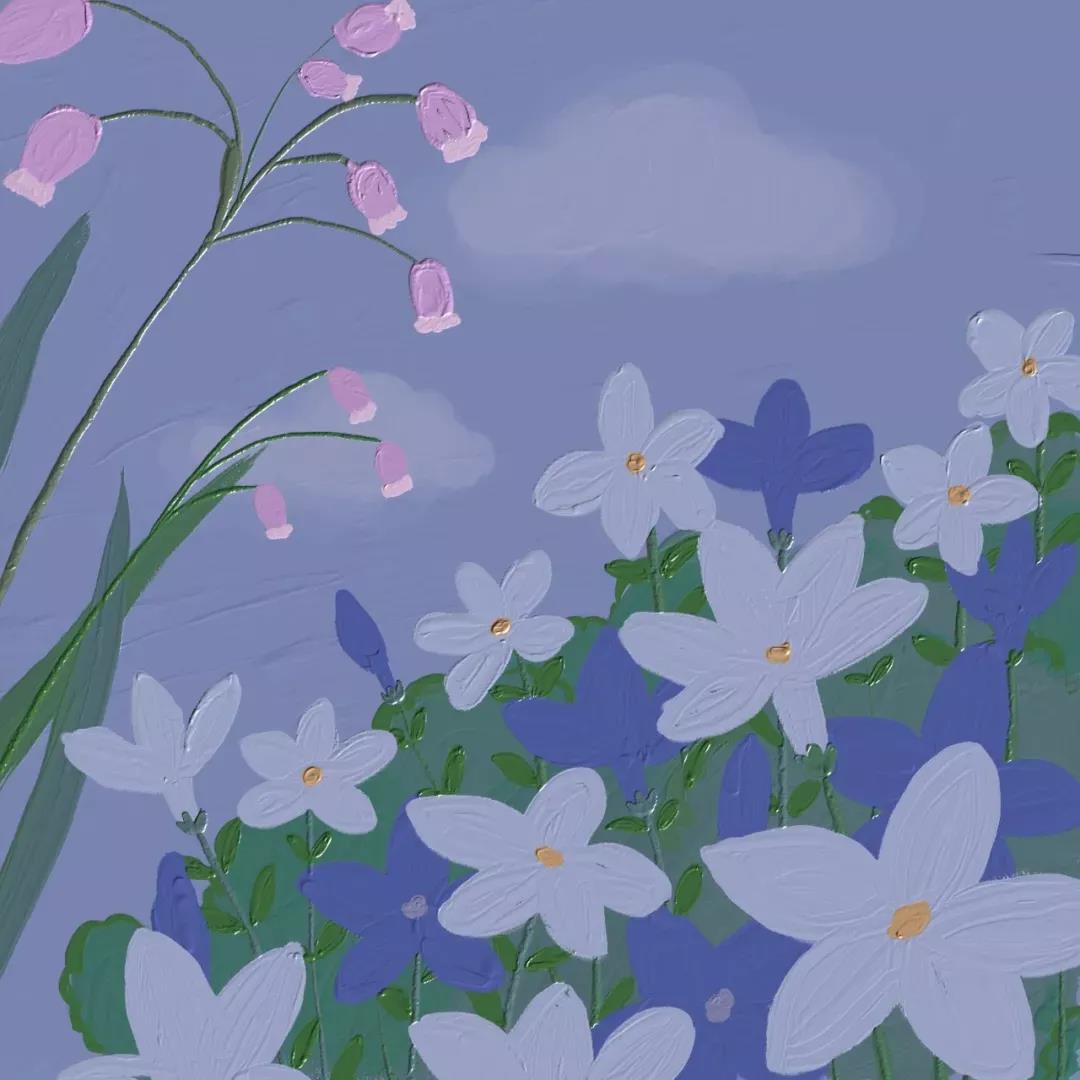 适合女生用的简单干净好看的微信头像图片