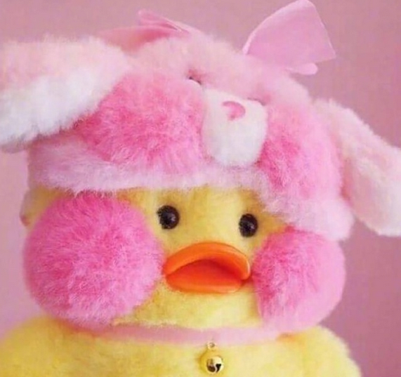 cafa mimi玻尿酸鸭可爱头像丨別将就別妥协怎么骄傲怎么活