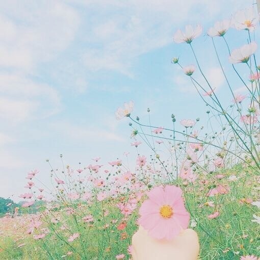 粉色系公主专属唯美图片大全