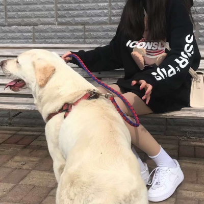 温柔风唯美女生高清微信头像