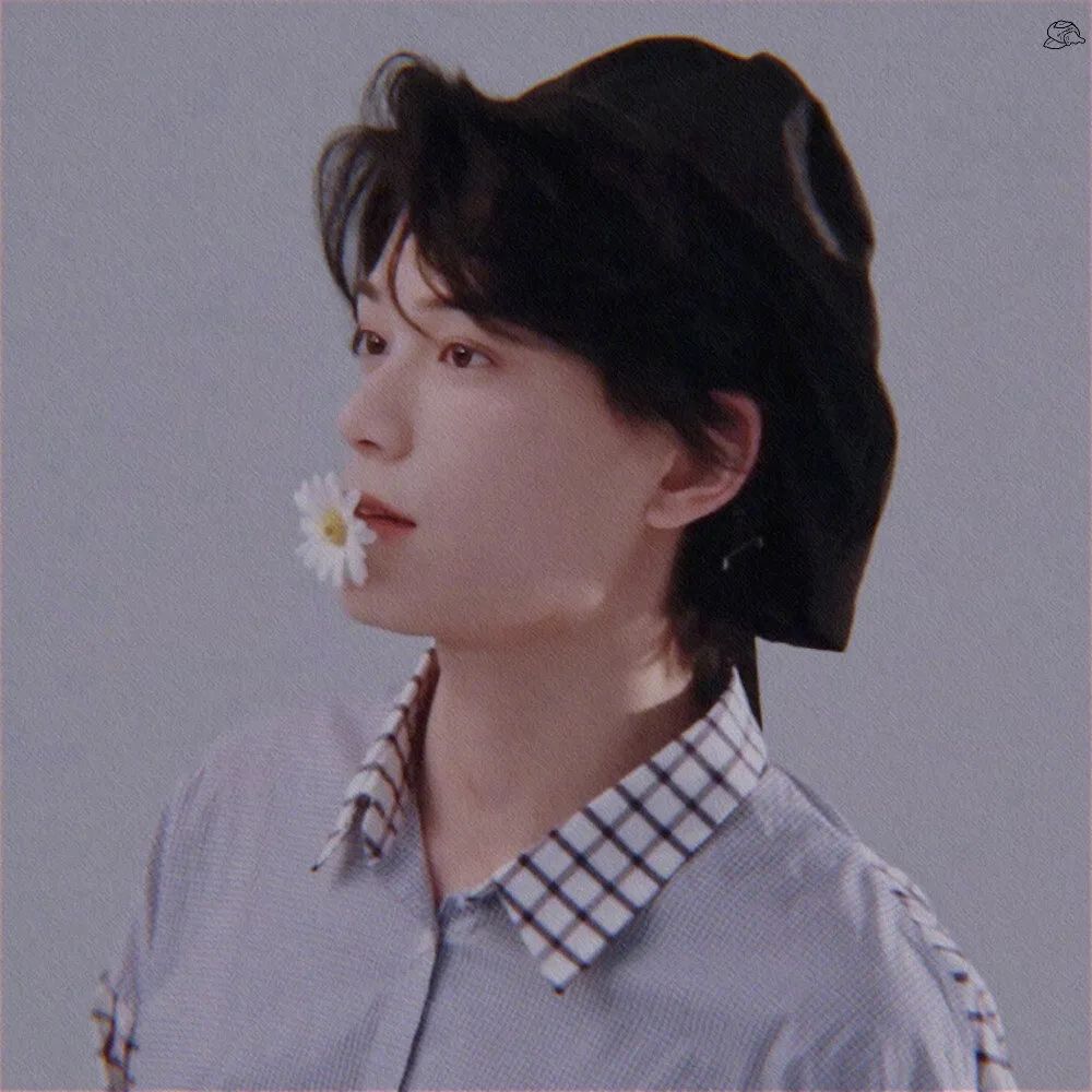 精选丁禹兮微信朋友圈背景高清头像图片