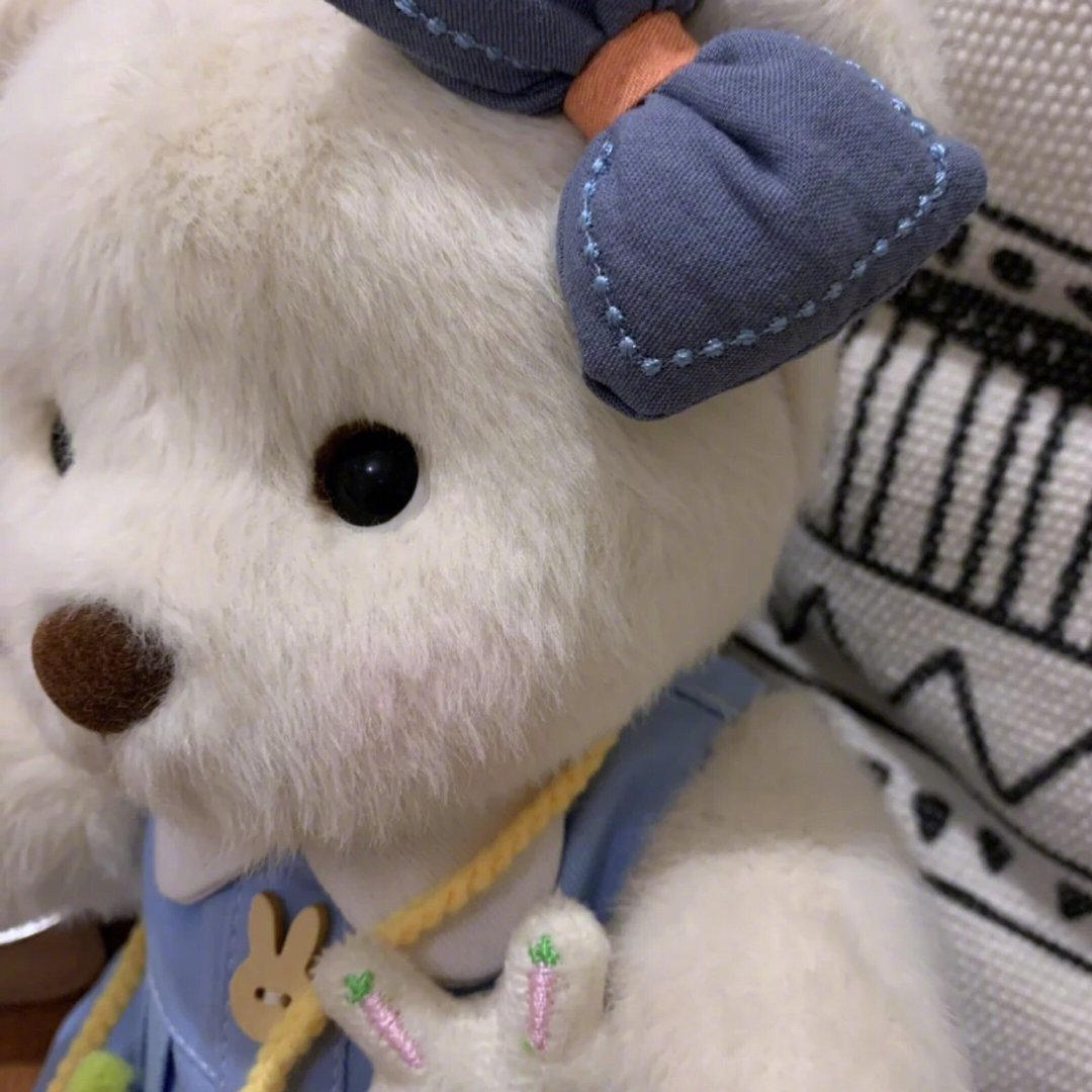 猫猫狗狗头像，不要太可爱的萌宠图片