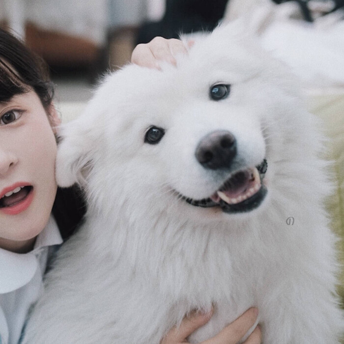 宋知意    情侣  另一半不是人头像图片