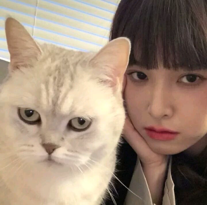 宋知意    微信女生真人头像图片