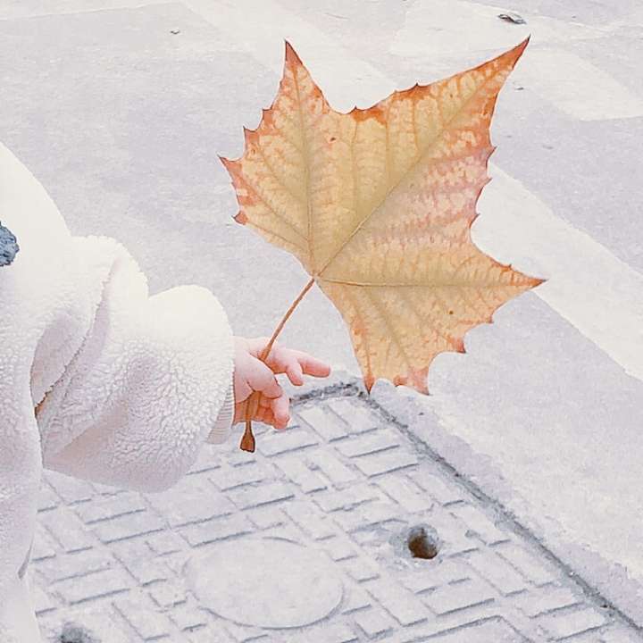 最新可爱萌萌的宝宝微信头像图片