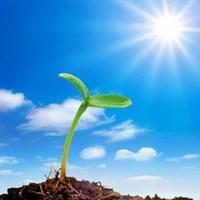 手机微信头像图片大全 微信头像图片精选