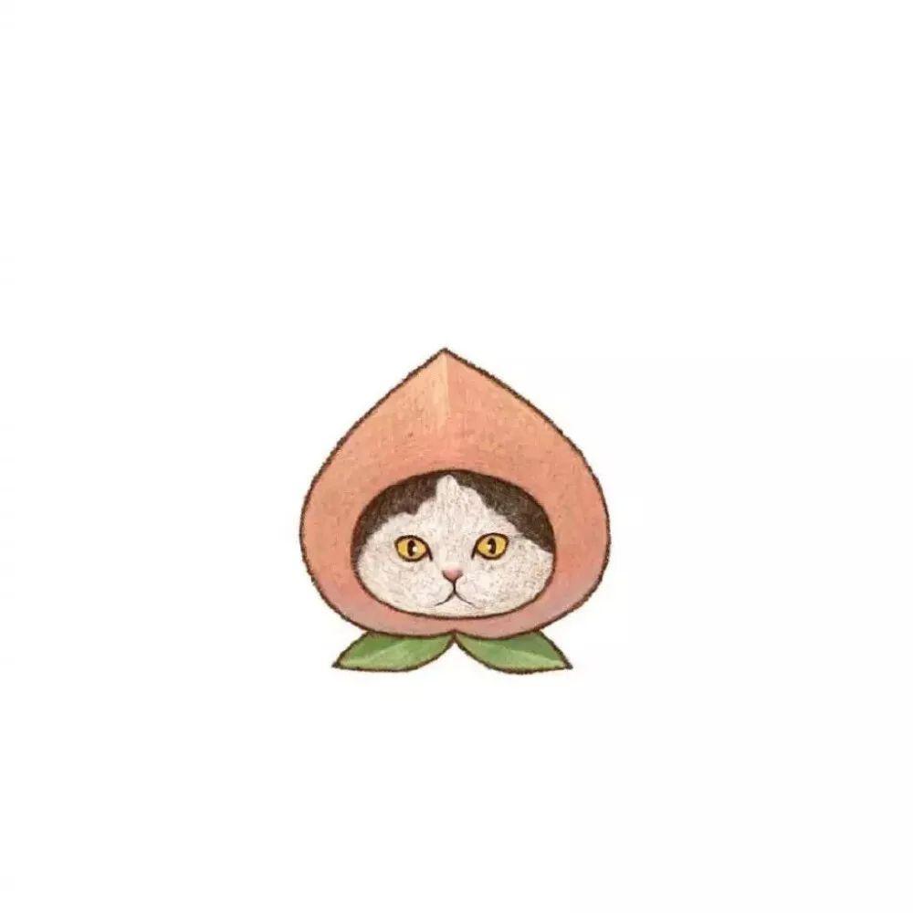 戴着水果头套的手绘猫咪头像-小猫咪的头像图片