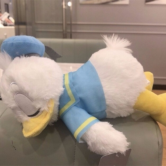 超可爱的灵气萌宠高清头像图片