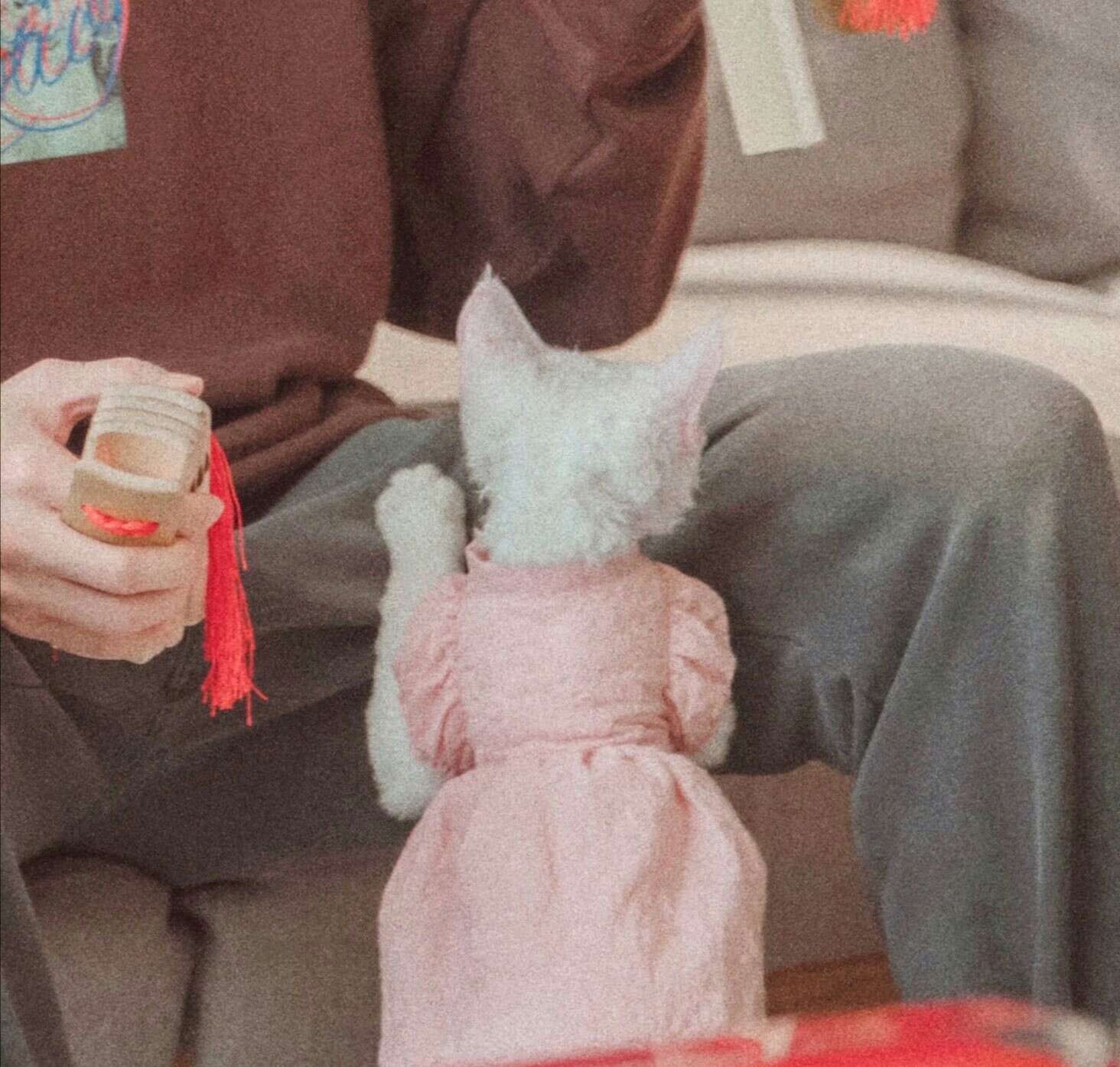 易烊千玺最火微信情侣头像图片