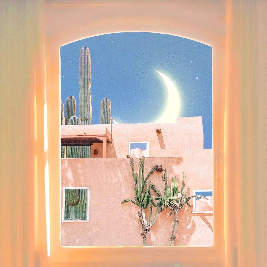 苏瓷:风景静物（唯美 清新 个性 治愈 风景）头像图片