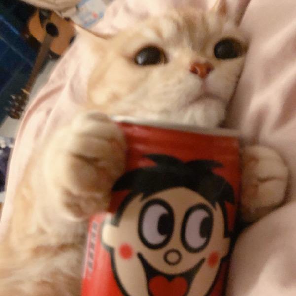 小仙女（小可爱）专用头像图片