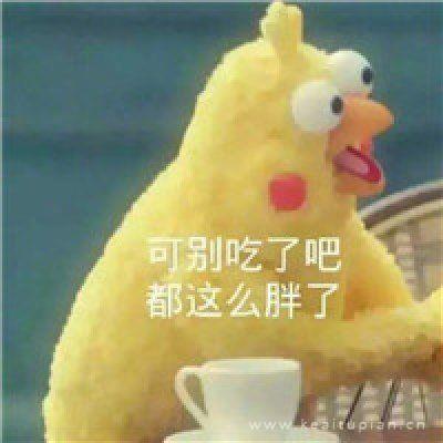 鹦鹉兄弟搞笑带字情侣头像图片