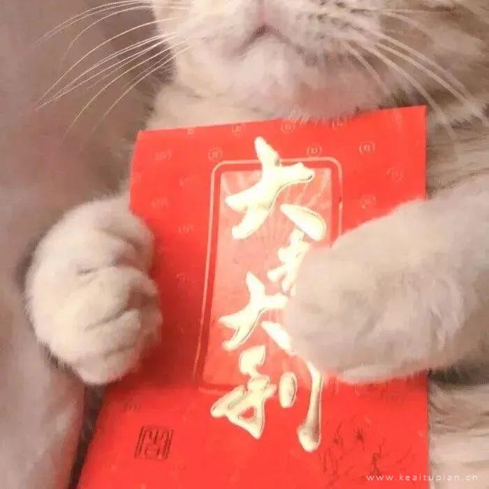 情侣杂 虽不共枕 但求同梦头像图片