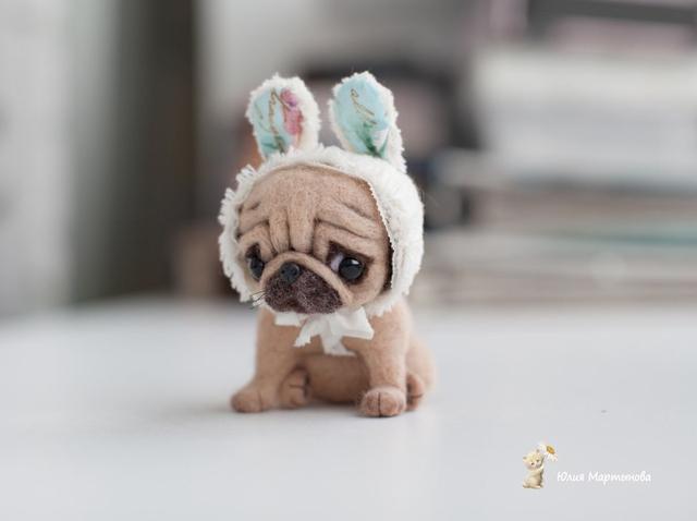 可爱的小动物头像丨愿你自强到无需有人宠有人惯