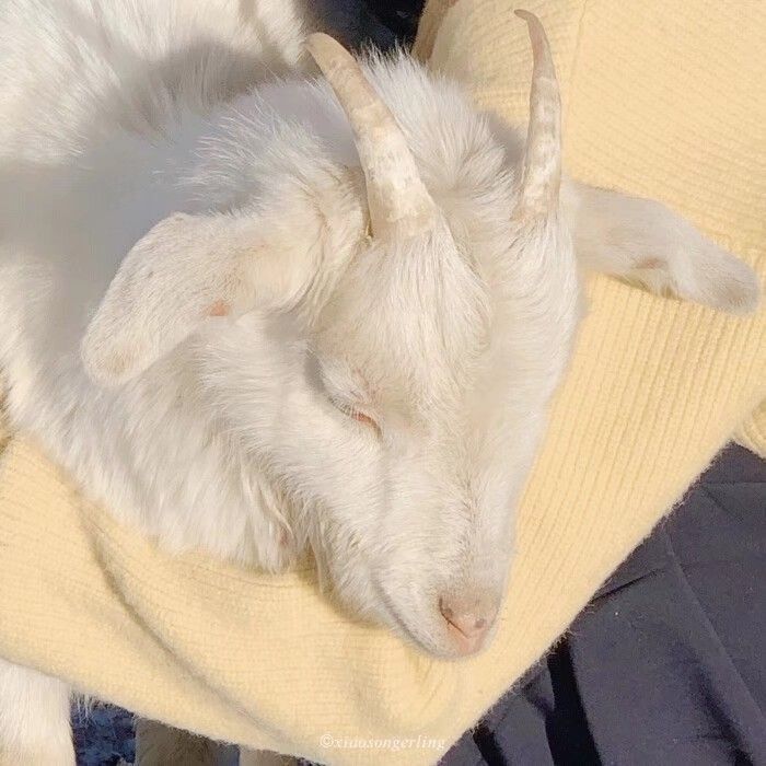 一对两张好看的高清微信情头图片