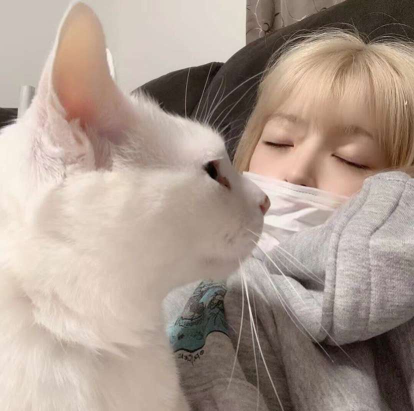 好看的女生高级可爱微信高清头像图片