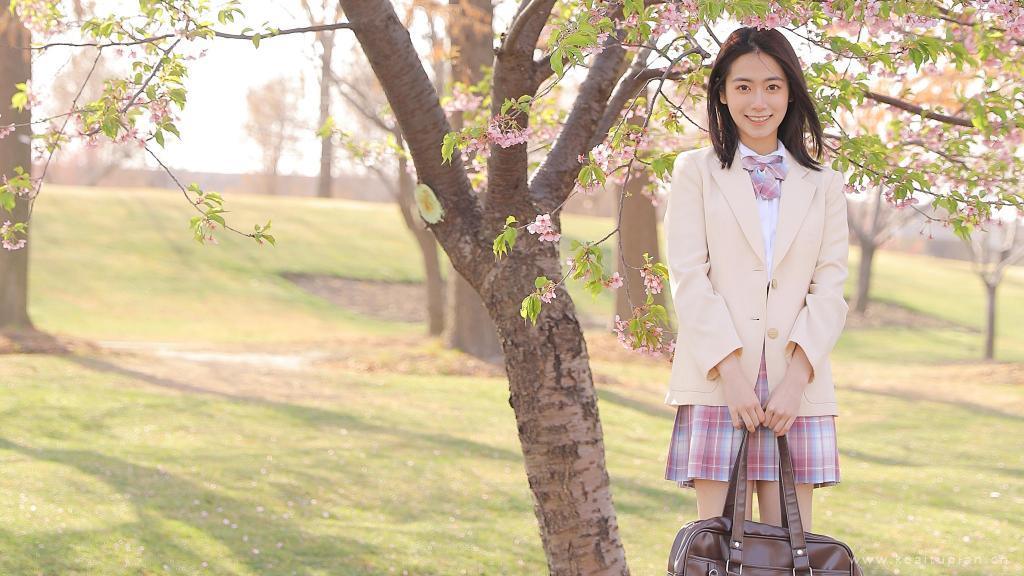 樱花树下的JK制服美女学姐高清桌面壁纸图片