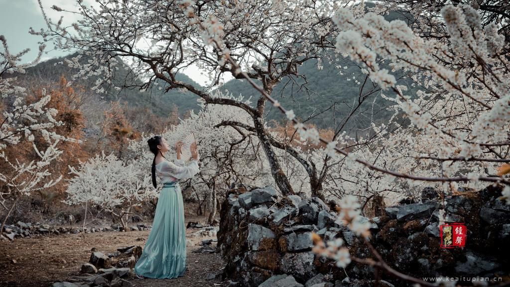 花林中惬意漫步执扇的古装美女文艺古风写真图片