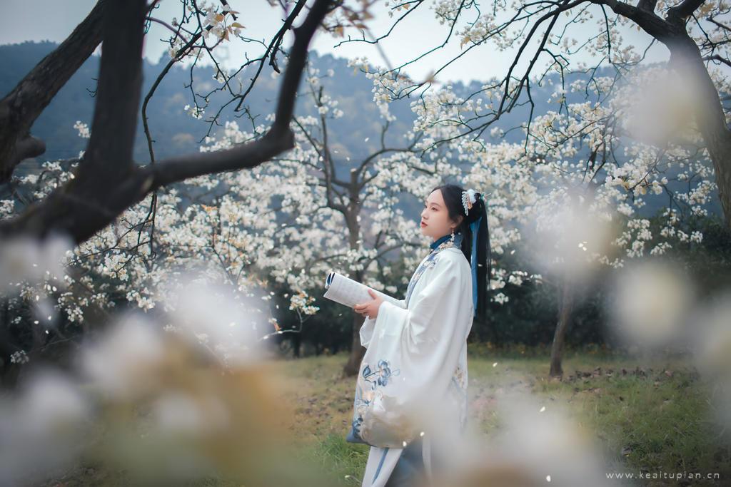 梦幻唯美的樱花树下汉服女生清新摄影图片