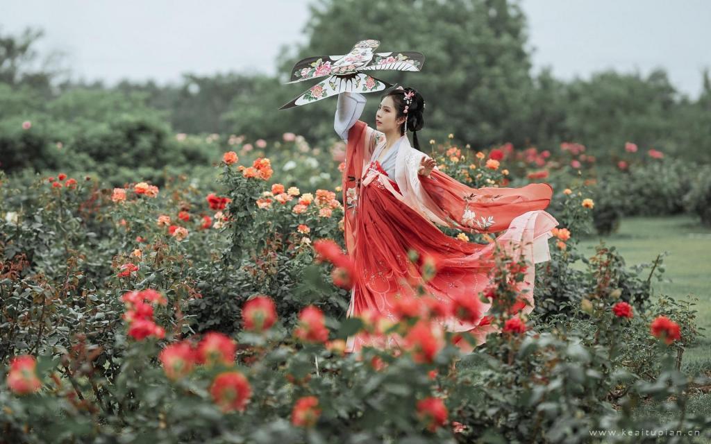 古典美女汉服花田戏耍娇羞唯美风景写真