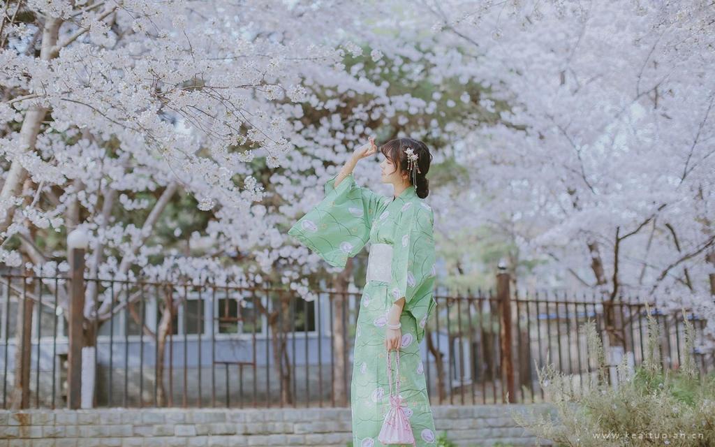 日系和服小清新少女唯美樱花写真高清电脑壁纸图