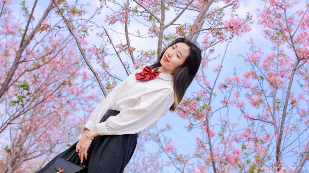 樱花树下的学生少女恬静唯美写真图片