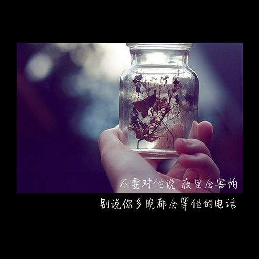 女生唯美伤感带字的图片精选