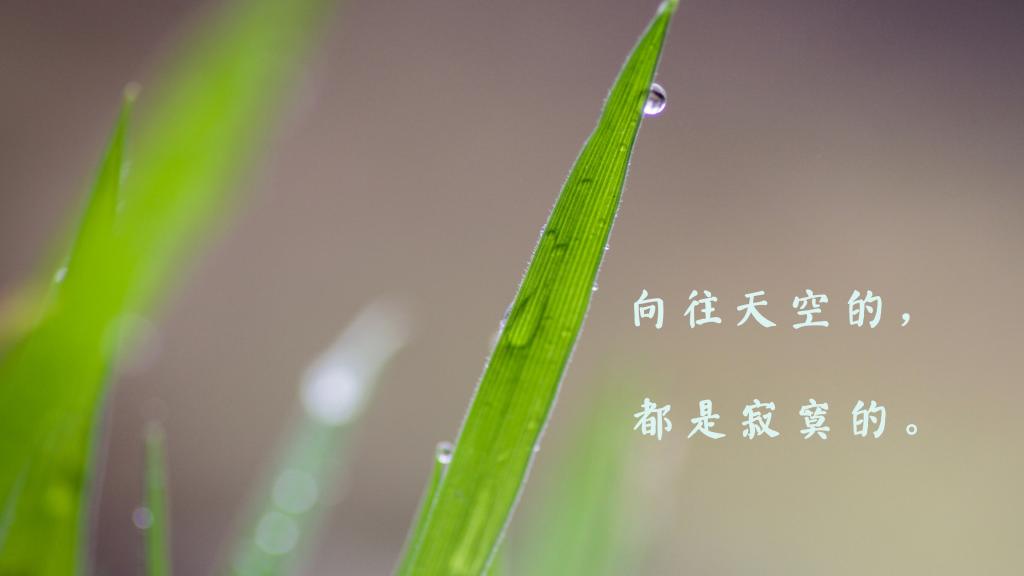 早安心情十个字说说图片