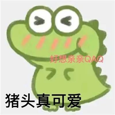 抹茶旦旦暴躁女友篇头像图片 抹茶旦旦表情包头像大全