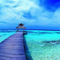 微信头像适合的图片 适合男士的微信头像图片