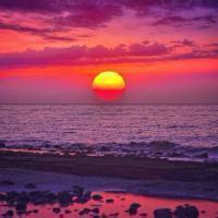 40多岁用什么头像合适 适合40岁左右的头像图片