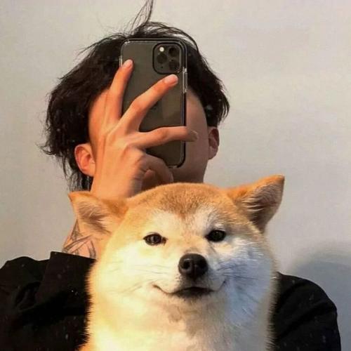 男生头像动物 头像图片男生动物图片