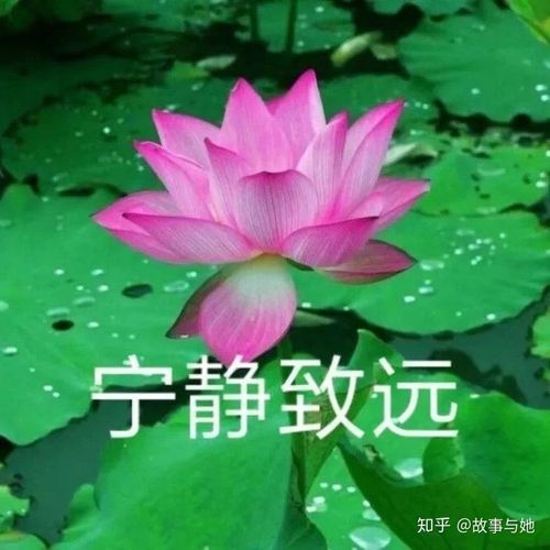 家长用的头像 家长头像图片大全风景