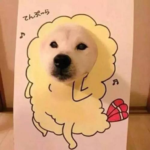 史上最沙雕闺蜜头像 好看的头像图片沙雕女闺蜜