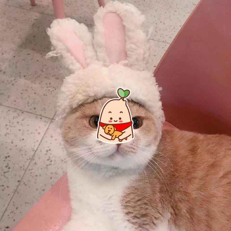 好看的头像情侣 好看的情侣图片头像