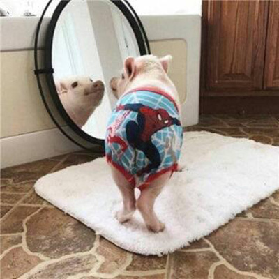 逗比情侣一左一右 情侣逗比头像大全