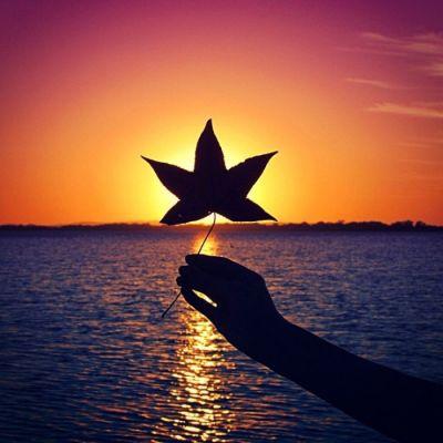 有意境的头像 有意境感的头像