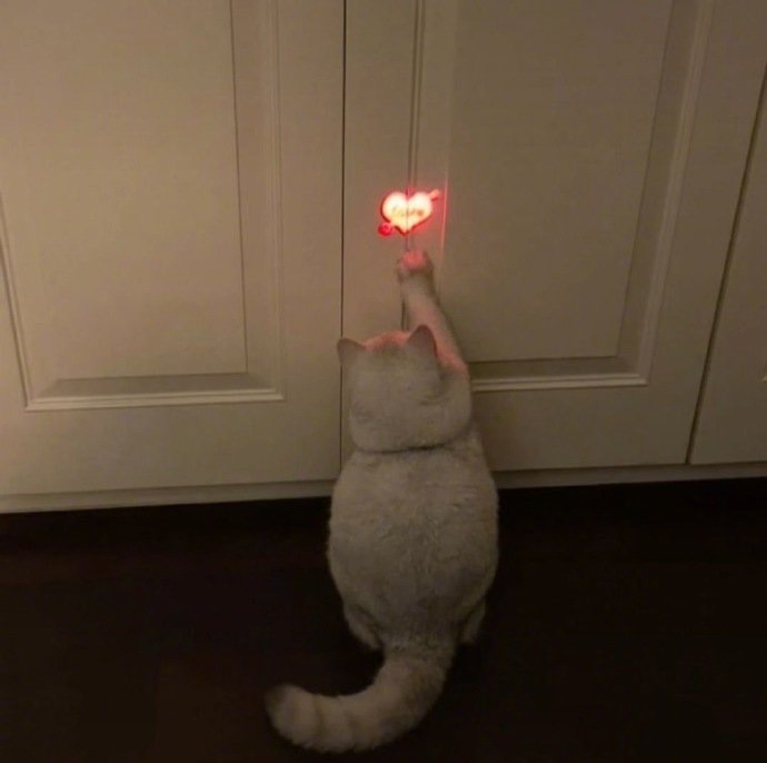 2024最火温柔治愈系背景图片动物主题合集