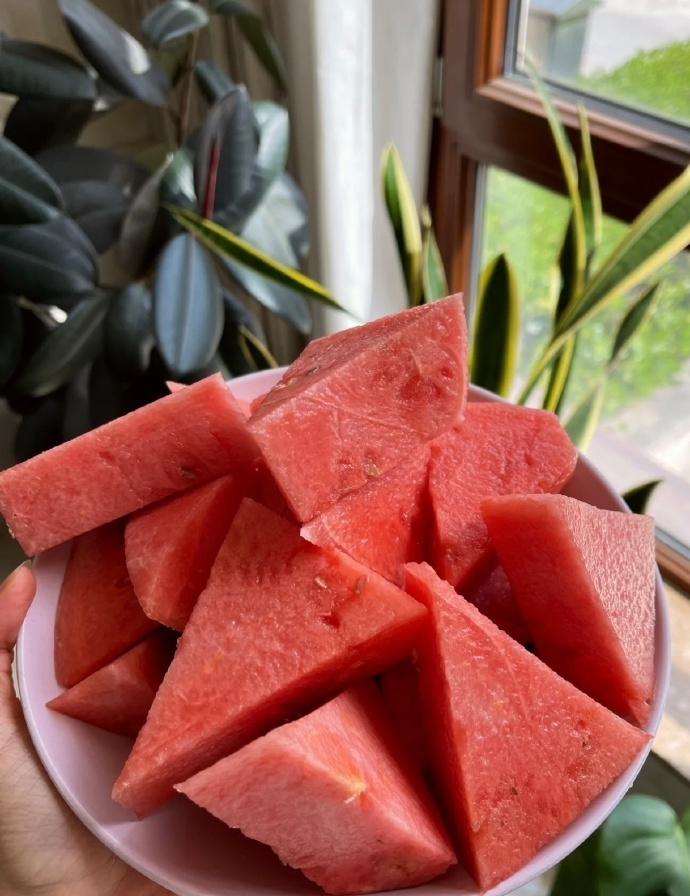 小清新的西瓜背景图片大全|梦中情瓜图片
