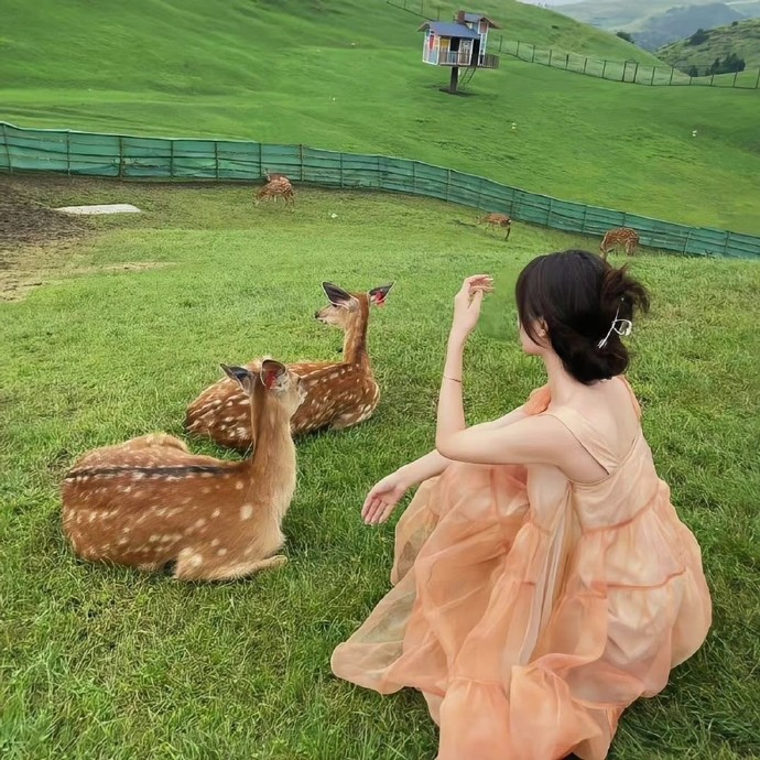 夏日女生头像INS高级质感背影图片大全